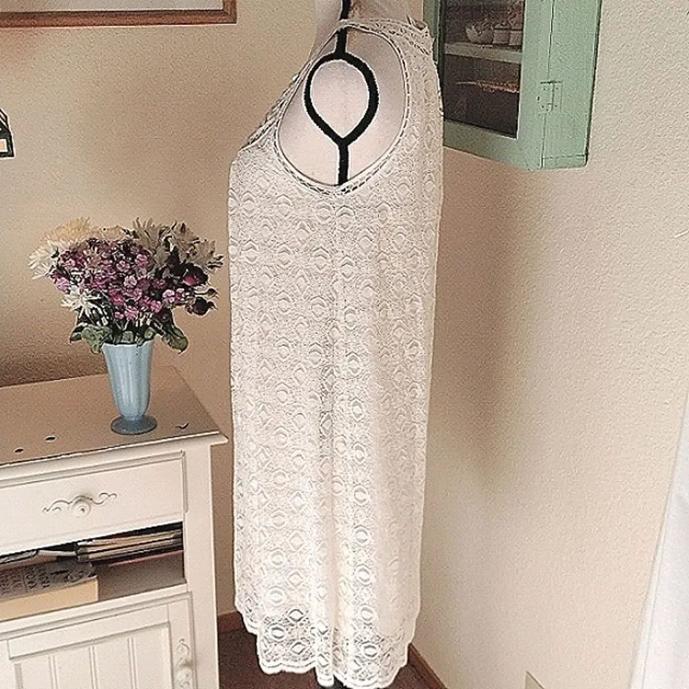 NWT Max Studio Lace Shift Dress - Picture 6 of 13